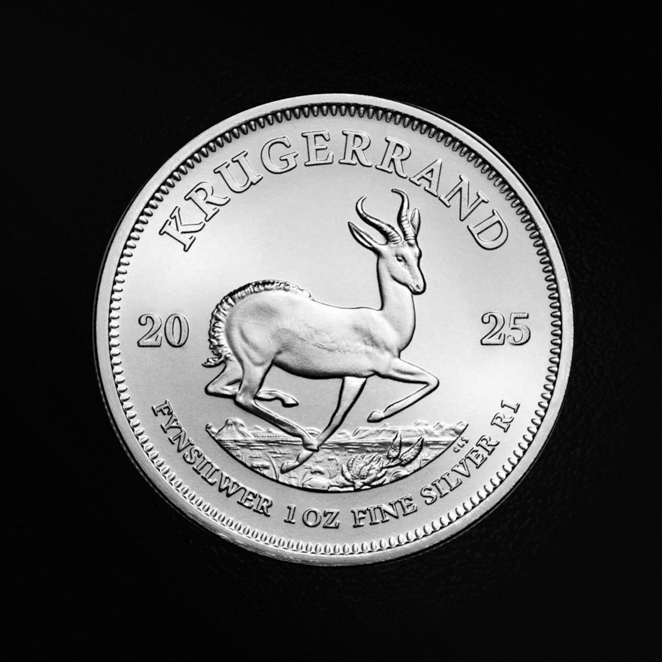 Krugerrand Argent
