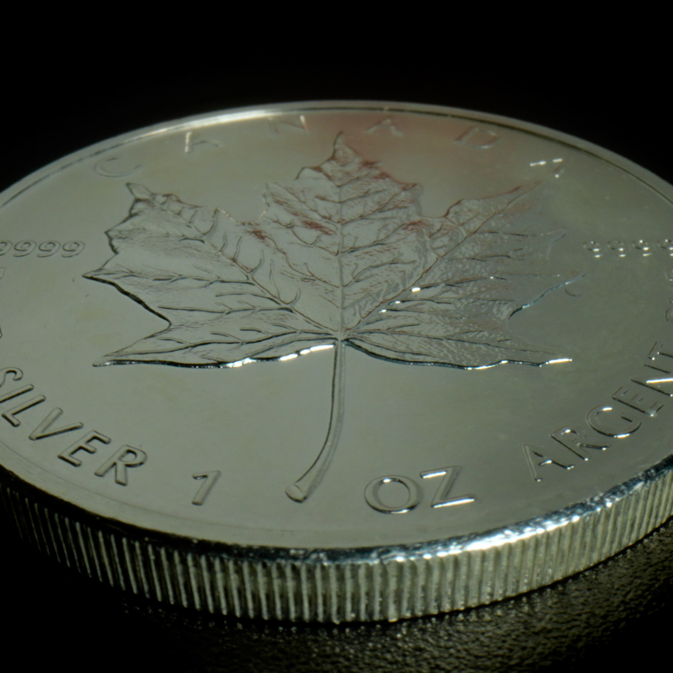 Feuille d'Érable Argent  